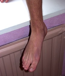 Jesse 58efc7b619810.jpg