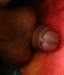 RAMON 5a73c8383b589.jpg