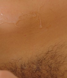 GUILLERMO 5a827cb6db997.jpg