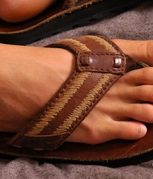 DILLON 2 5aab0119a0e40.jpg