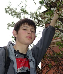 Uploaded by:flingerjong 5ab99f290fb7e.jpg