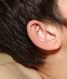 Uploaded by:flingerjong 5ab99ff2b4cce.jpg