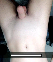 Snap and boy 5872388728ae9.png
