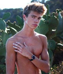Spanish models, NN 5a8e9fc00410c.png