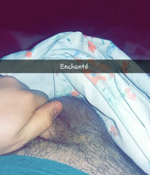 Quelques souvenirs de snap 5f3c05af86496.png