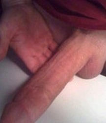 Beautiful cock  5a8bdd3be1cc8.jpg
