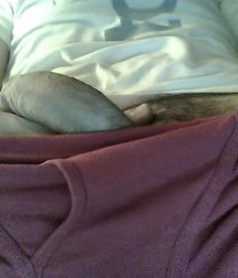 Beautiful cock  5a8bdf5274d94.jpg