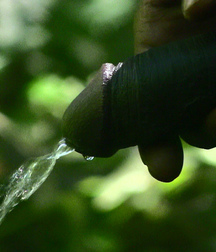 Black and Latin Piss 58a9a6c169f0a.jpeg