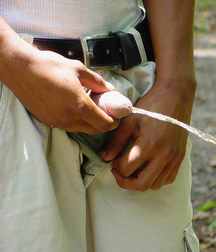 Black and Latin Piss 58a9a6dd3e6a1.jpg