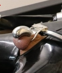 Lock-a-Cock 5c022b70e30e6.jpg