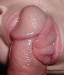 Hot Cocks Boys Gay Tube Porn 5e7d303eaa9f3.jpg