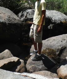 Some mixed images of me 625db9a96b6fa.jpg