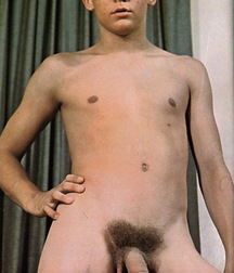 Gorgious Boys, Sexy Boys, Wonderful Life 5df260640a944.jpg