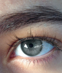 Oufti-Nsex37 5761b5a1bf2d3.jpg