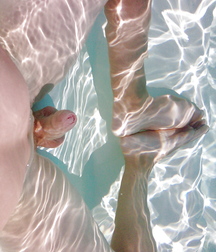 Oufti-Div-36 579ba8de5d696.jpg
