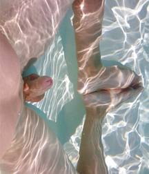 Oufti-Beau Blond  5894ec45a5c8c.jpg