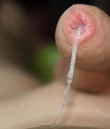 Oufti-Sperm1 58cef376f28b4.jpg