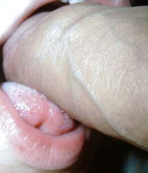 Oufti-Divers2 5a5bb9d5b5a34.jpg