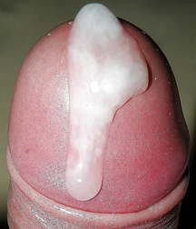 Oufti-Sperm 5b5215254051e.jpg