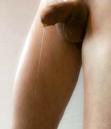 Oufti-Sperm 5b52153039230.jpg