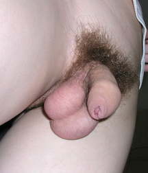 Oufti-Balls-couilles 5bb7d6437041d.jpg