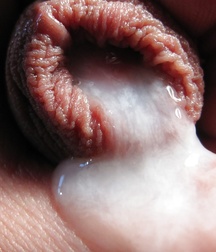 Oufti-Sperm  5bd61d96ed982.jpg