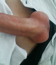 Oufti-Couilles 5bef2a807d77b.jpg