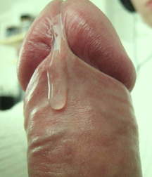Oufti-Sperm 5c76edcd7461e.jpg