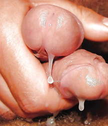 Oufti-Sperm 5c76ede9d94e5.jpg