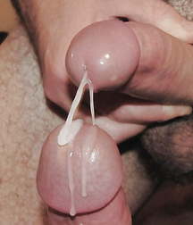 Oufti-Sperm 5c76edeb14479.jpg