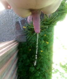 Oufti-Piss 5cae329d5ca0f.jpg
