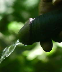 Oufti-Piss 5cae32accd7d2.jpg