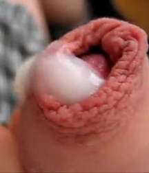 Oufti-Sperm... 5cae342accd53.jpg