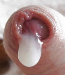 Oufti-Sperm&Precum 5d0a8f719579f.jpg
