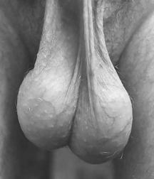Oufti-Balls-Couilles 5d56e6630259d.jpg