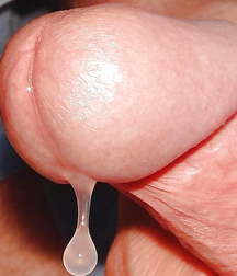 Oufti-Sperm&Precum 5d56eac335c97.jpg