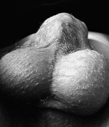 Oufti-Balls 5d9e3cd19304d.jpg