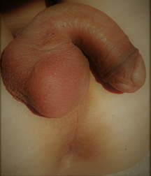OUFTI-Balls 5dfc9b7c164cf.jpg