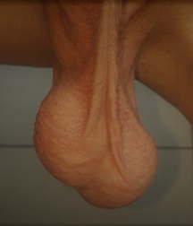 OUFTI-Balls 5dfc9b803a893.jpg