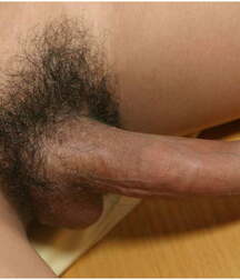 Boys Porn Bites-Cocks 03 - Oufti 606447701f7e7.jpg