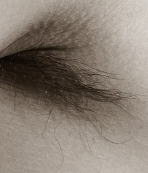 Armpits 5a8726726c60d.jpg