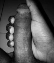 do whats brasil 02 5b94453adc9aa.jpeg