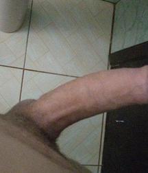 muitas fotos e variadas 5bdc6b3b4a2e1.jpg
