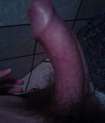 muitas fotos e variadas 5bdc6fddd988b.jpg
