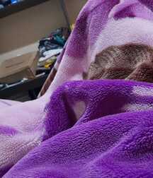 whats brazil boys porn 01 5f82462f4f3de.jpg