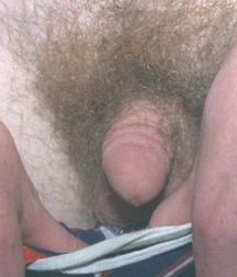 Boiling Hot 15 58da7b0978810.jpg