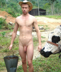 Nude Cowboys 58b534a875681.png