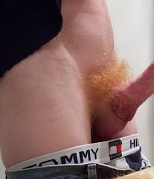 gingers 58f9dedca5173.jpg