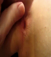 GIF's various 5985b5ffc06e3.gif