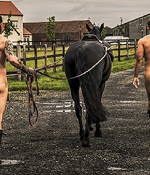naked horsemen 5993f328530a6.jpg